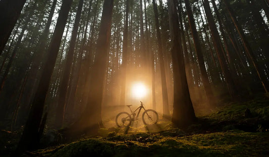 How to Keep Your Bike in Top Shape?!
