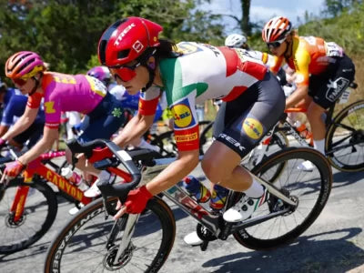 Everything You Need to Know About Road Bikes