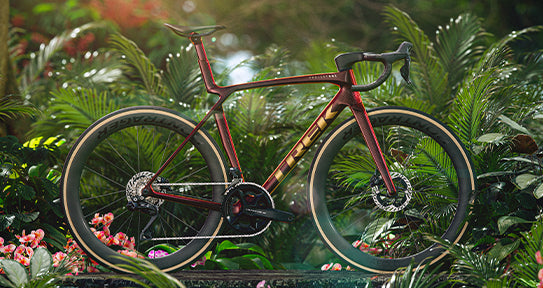 Wheels Bikes