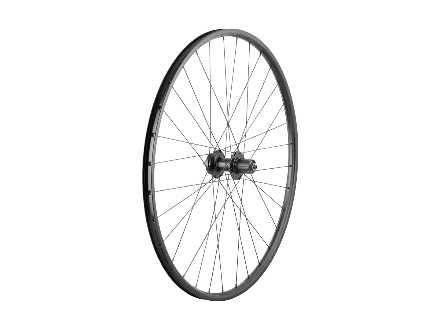 Wheel Bontrager Connection QR 6-Bolt Disc 29 - Strong and Versatile 